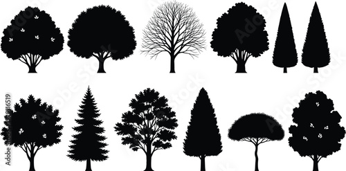 Tree silhouette set various deciduous and conifer trees nature landscape black vector illustration isolated collection