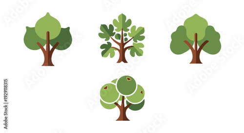 Fig tree Line art modern soft tone illustration