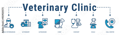 Veterinary Clinic banner presenting diagnostic tools and professional services for accurate pet health assessment