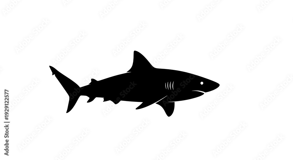 Obraz premium Silhouette of a shark swimming alone.