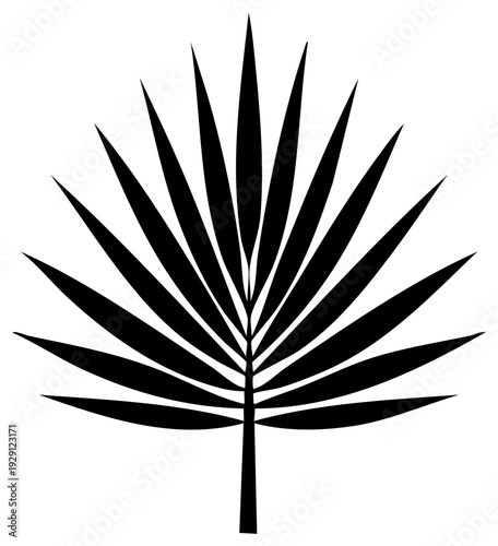 Black palm leaf silhouette tropical plant minimalist illustration vector graphic design element