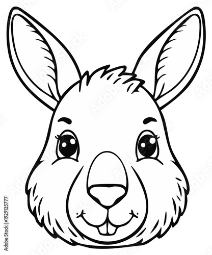 Cartoon kangaroo face illustration, happy animal head, isolated outline.