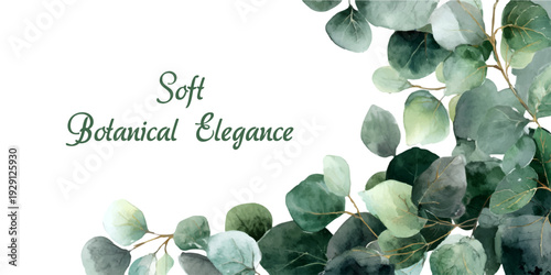 Green eucalyptus leaves form a delicate watercolor border frame, perfect for wedding cards, botanical invitations, and elegant spring greeting templates with foliage.