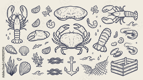 Vintage hand-drawn seafood and nautical elements collection with lobsters, crabs, shrimp, shells, anchor, and fishing net on a light background.