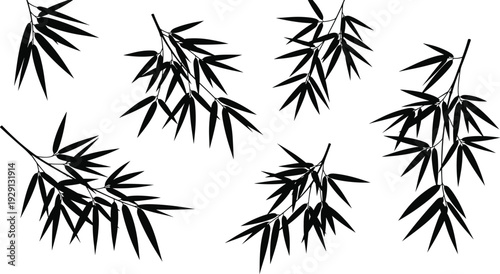 Black bamboo leaf silhouettes collection featuring tropical branch elements and oriental foliage for nature zen and botanical garden vector design