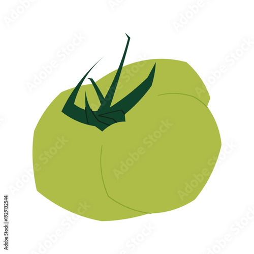 Single green tomato with leaves in flat style isolated on light background. Fresh organic vegetable concept
