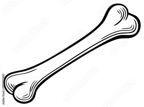 Canine bone illustration for dog treat concepts, outline drawing in black and white, skeleton element