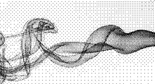 A minimalist vector graphic illustration of a bird in flight with flowing wings dither