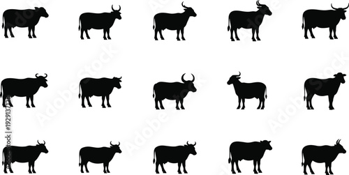 Grid of fifteen cow silhouettes in black and white, livestock animal illustration, agricultural farming artwork, cattle posture diversity vector design for education