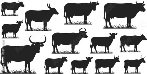 Silhouettes of thirteen cows standing on grass patches, black and white livestock animal illustration, agricultural farming artwork, cattle breed diversity vector design