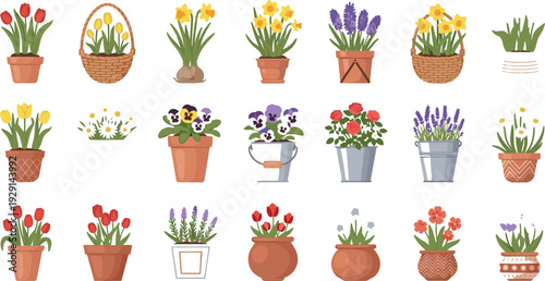 Spring Flower Pot Vector Collection with Tulips, Daffodils, Lavender, Pansies and Blooming Garden Plants in Decorative Containers