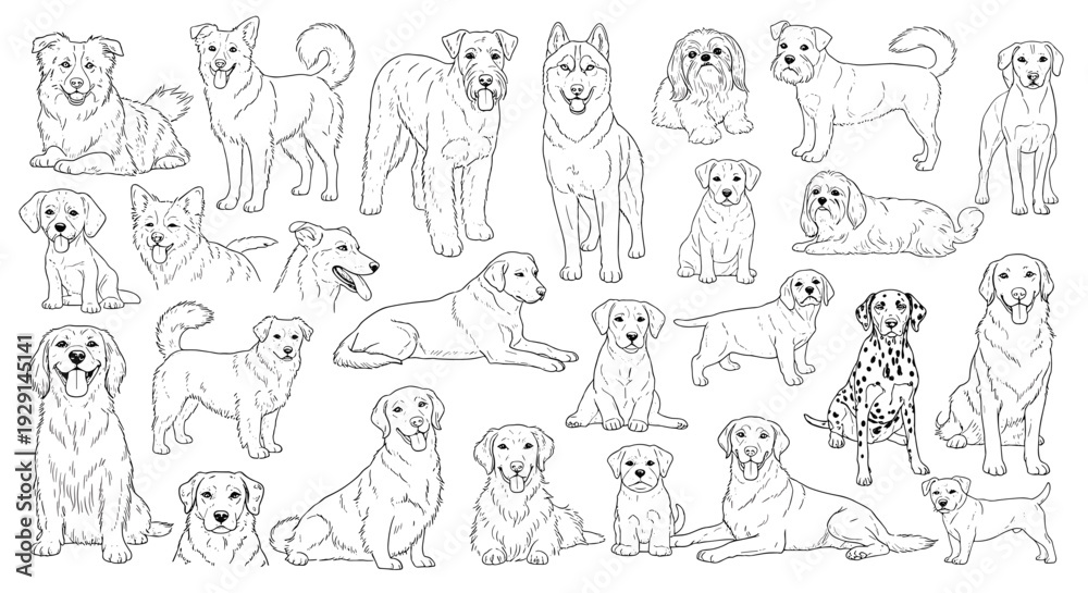 Obraz premium Dog Breeds Line Art Collection Hand Drawn Outline Set