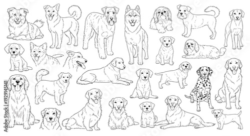 Dog Breeds Line Art Collection Hand Drawn Outline Set
