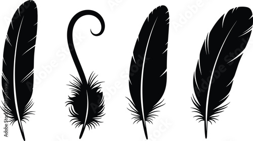 Set of bird feather silhouettes, black quill collection, decorative wings elements, cad drawing flat vector illustration, elegant plumage isolated on white background, nature art