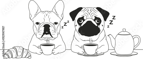 French bulldogs enjoying tea time