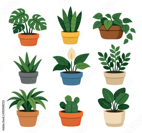 Cute flat design houseplant set featuring a variety of potted indoor plants for home decoration