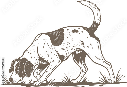 A dog digging in the ground with its tail up