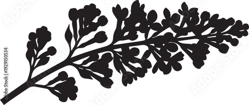 Lilac branch silhouette vector illustration nature botanical element detailed line art isolated