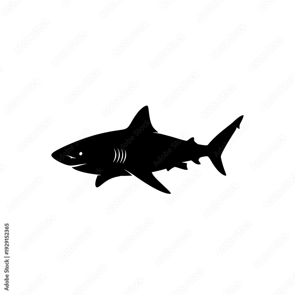 Fototapeta premium Black silhouette of a shark swimming.