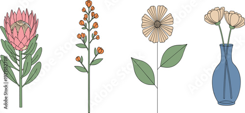 Hand Drawn Protea and Minimal Botanical Flower Vector Set with Wildflower Branch and Vase for Modern Floral Design and Natural Illustration.