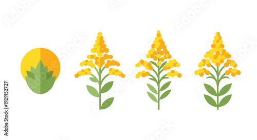 Photos Goldenrod Line art colorful design concept illustration