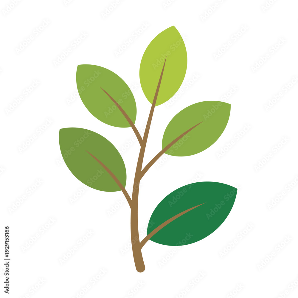 Fototapeta premium Simple green leaves branch illustration on white background