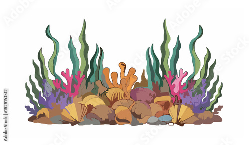 Underwater coral seaweed and shells vector elements EPS 10