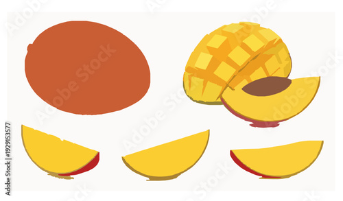Realistic mango fruit vector collection isolated EPS 10