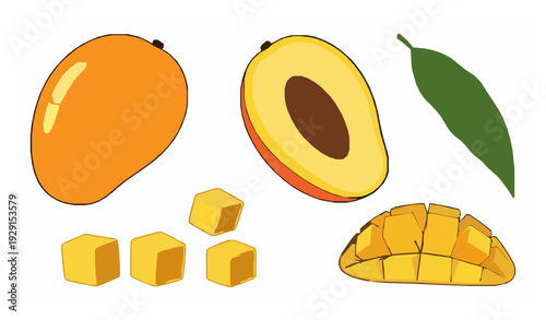 Flat mango tropical fruit vector set isolated on white EPS 10