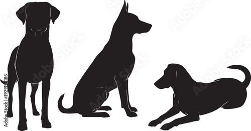 Three black dog silhouettes in different poses against a white background