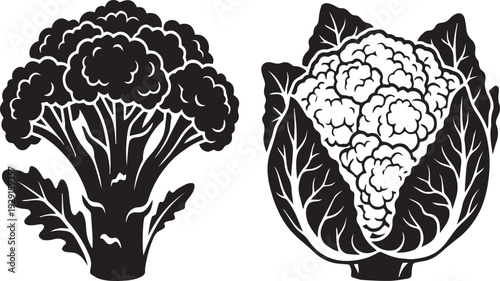 Fresh Broccoli and Cauliflower Floret Vegetable Silhouettes