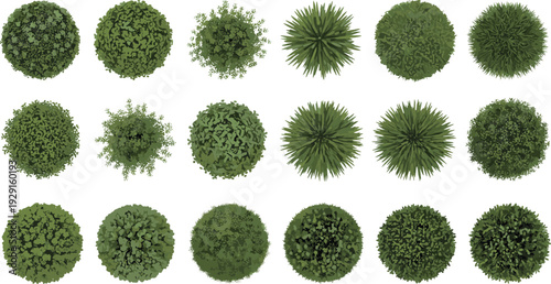 Top view bush and shrub collection isolated on white background, detailed green garden landscape elements vector set