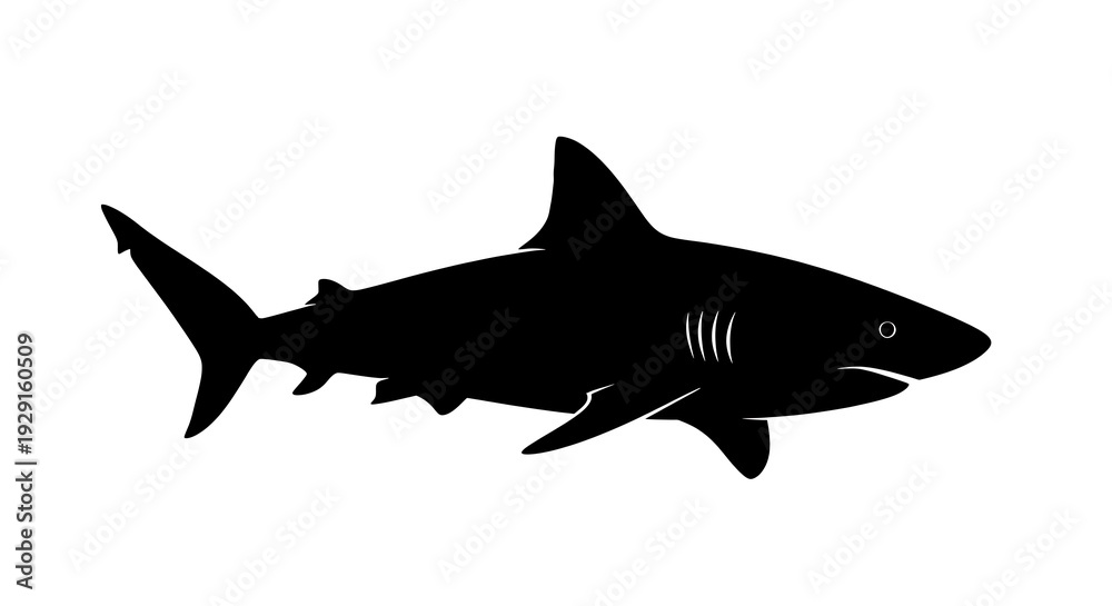 Fototapeta premium Black silhouette of a shark swimming.