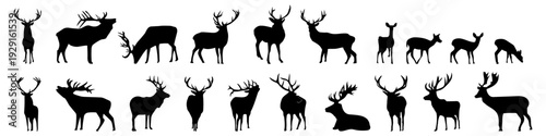   black deer silhouettes on a white background