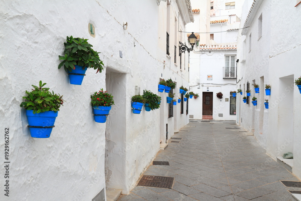 Fototapeta premium Whitewashed Alley With Blue Flower Pots