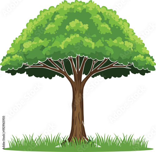 Vibrant green summer tree illustration with thick canopy and grass isolated on white background for nature environment and landscape design