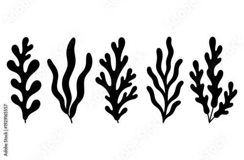 Seaweed and coral black silhouette vector icon collection
