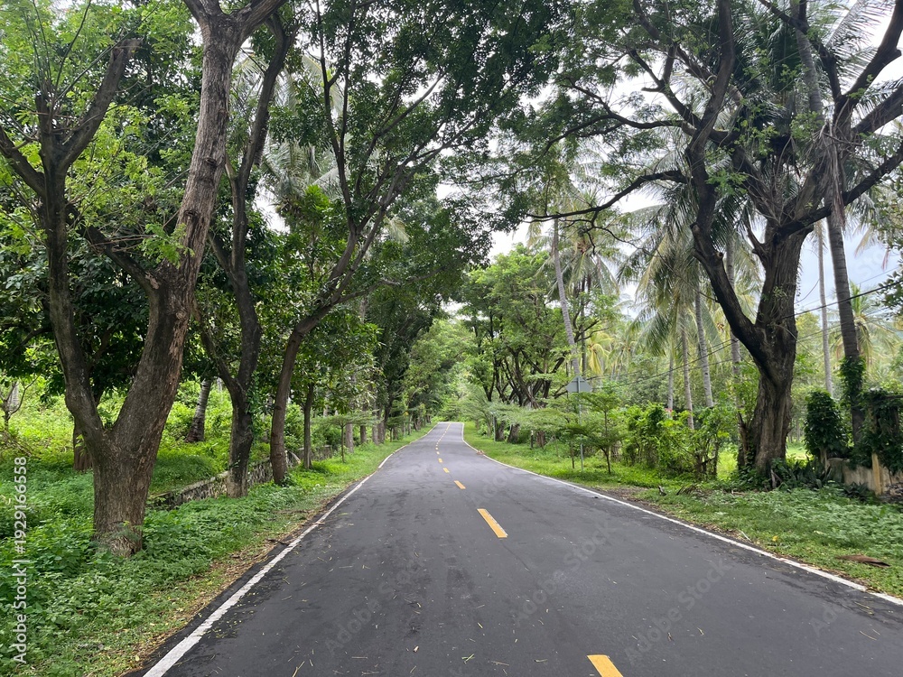 Obraz premium Mountain Forest Landscape