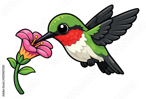 Cartoon illustration of a hummingbird depicting drinking nectar from a pink flower for nature designs