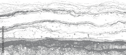 Abstract layered geological strata cross section with detailed textures and granular patterns
