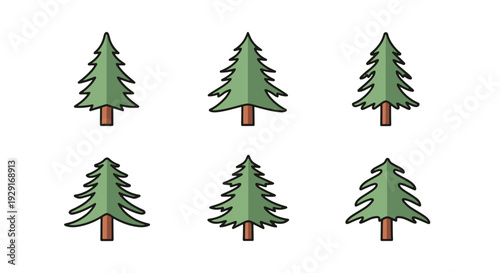 Himalayan cedar Line creative shape color illustration