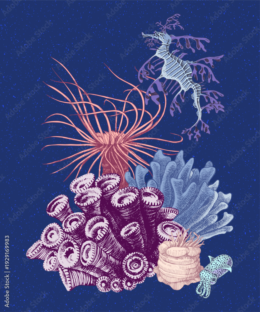 Fototapeta premium Coral reef group with sea leaf dragon