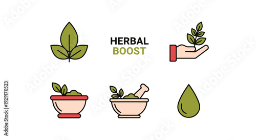 Herbal Boost Line modern soft color