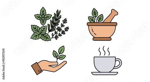 Herbal Mix Line art clean modern color