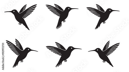 Hummingbirds silhouette set with six flying poses, black vector icons isolated on white background for logo, tattoo and design