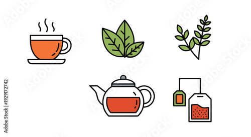 Herbal Tea Line art dynamic smooth color illustration