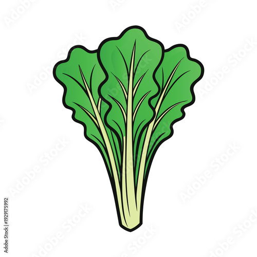 Fresh green celery isolated on white background