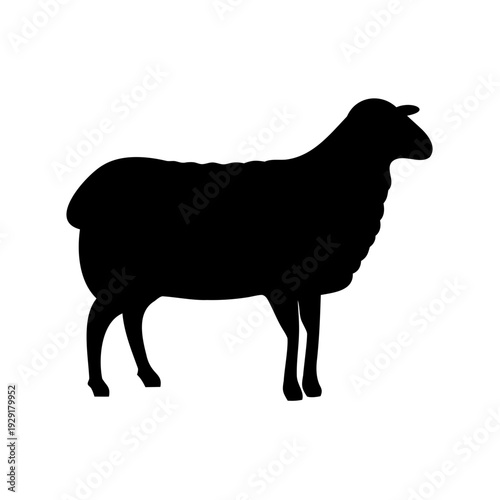 Silhouette of a sheep standing still on a white background