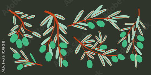 Set of flat funky doodle green branch olives. Hand drawn bold illustration.
