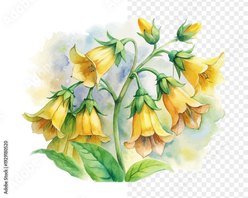 Watercolor Yellow Bells Flower, Tropical Botanical Art, vector illustration isolated on white background